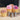 Loyal Piping Tips Moreish Ruffle - Set of 3
